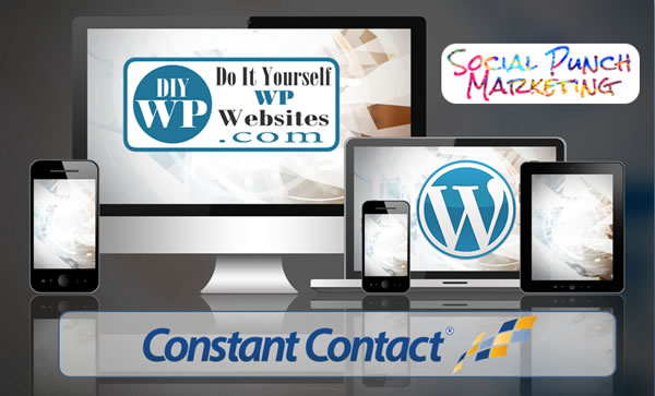 Do It Yourself WordPress Websites Webinar
